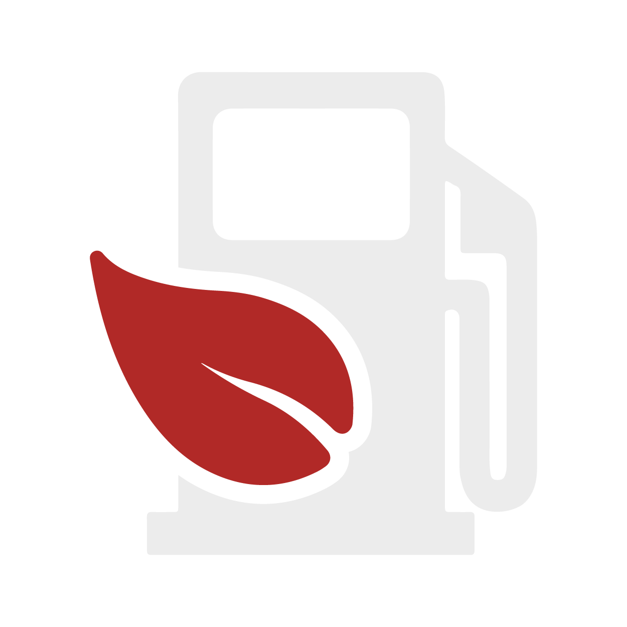 E85 FLEX FUEL
